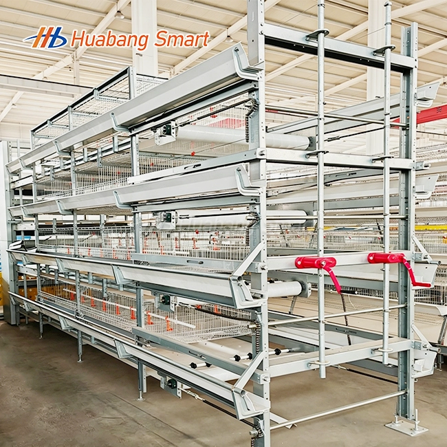 Broiler Chicken Cage For 500